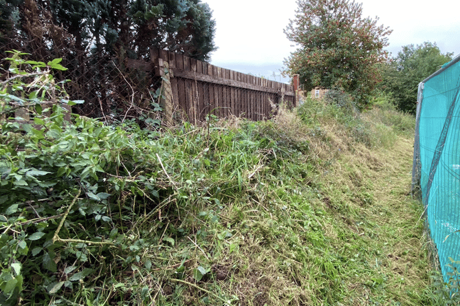 Bronllys fence / hedge