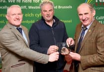 Livestock champion award winner announced at Royal Welsh Winter Fair