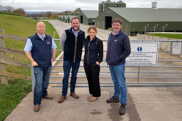 Avara and Gamber Wye contract