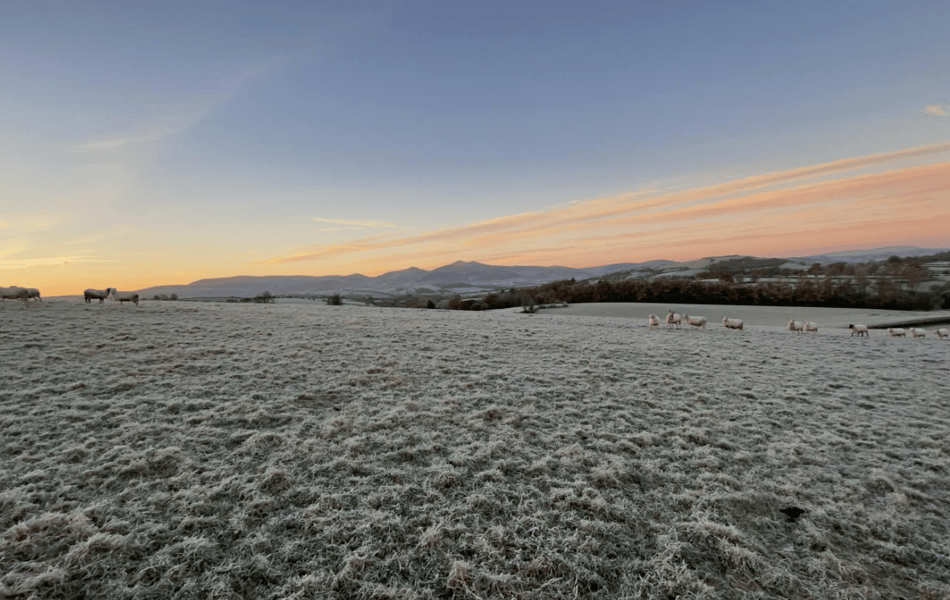 WATCH: Picture This - First signs of winter!