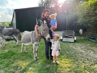 Winston the donkey still missing
