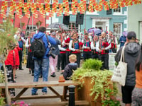 Sheep festival to return ‘bigger and better’ next year