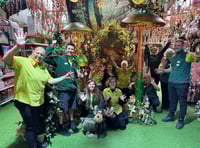 Old Railway Line Garden Centre wins award for Christmas displays