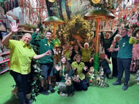 Old Railway Line Garden Centre wins award for Christmas displays
