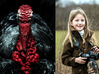 Llandrindod photographer becomes youngest ever RSPCA award winner