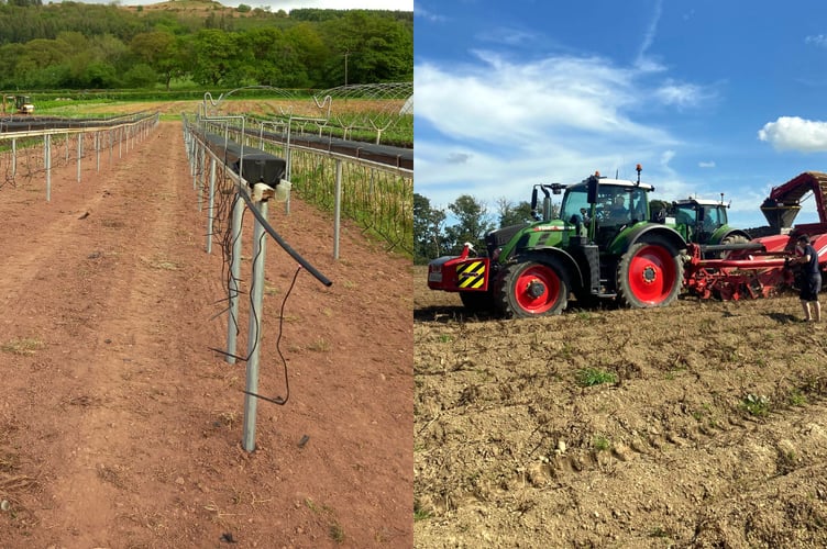 The two growers have improved efficiency through a grant scheme.