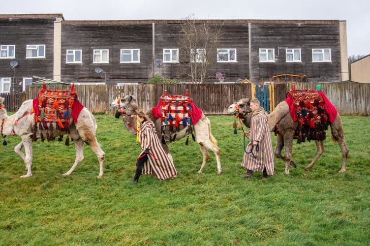 The Nativity event featured three camels who were walked through the Uplands and into Brecon town centre