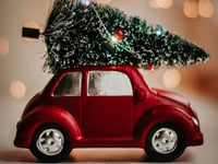 Recycling your real Christmas tree