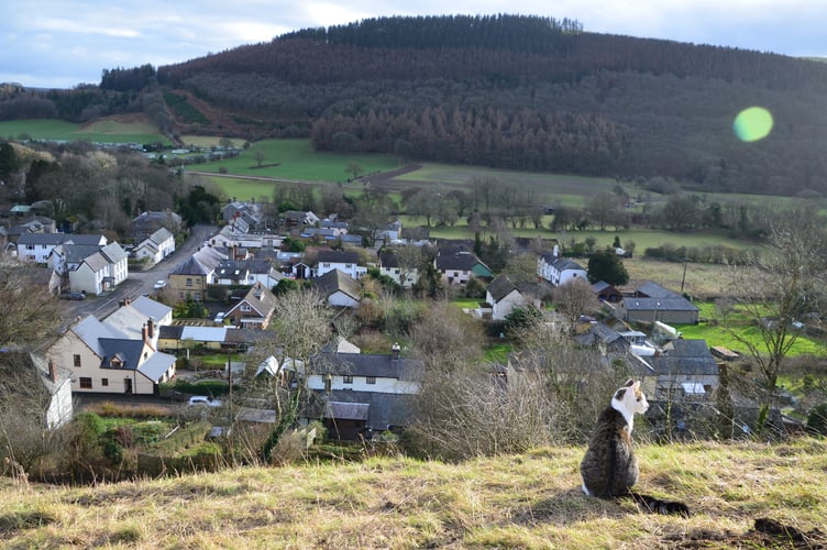 Jooji enjoyed adventures around the village