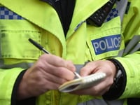 Police appeal after report of man exposing himself at festival