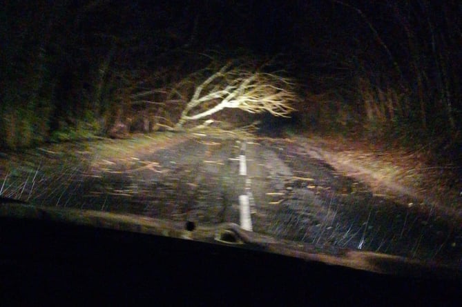A tree in Erwood has blocked the road