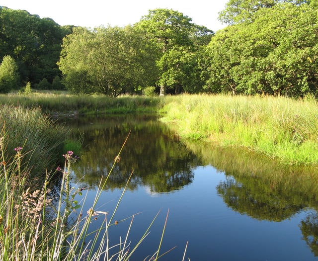Mid Wales Tourism shares ideas for St Dwynwen’s Day