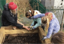 Clyro School hold grounds day for wildlife area redevelopment