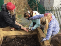 Clyro School hold grounds day for wildlife area redevelopment
