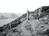 Video: Picture This - Black and white photography!