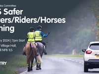 Road safety event held to educate people on passing horses