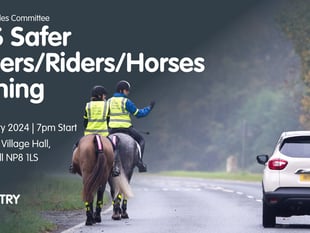 Road safety event held to educate people on passing horses