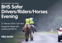 Road safety event held to educate people on passing horses
