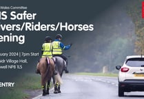Road safety event held to educate people on passing horses