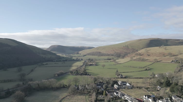 How is the recession impacting local businesses?