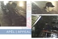 Police launch appeal following Brecon burglary