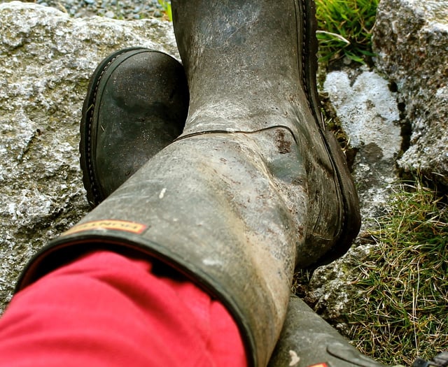 Farmers asked to donate old wellies to campaign Senedd display