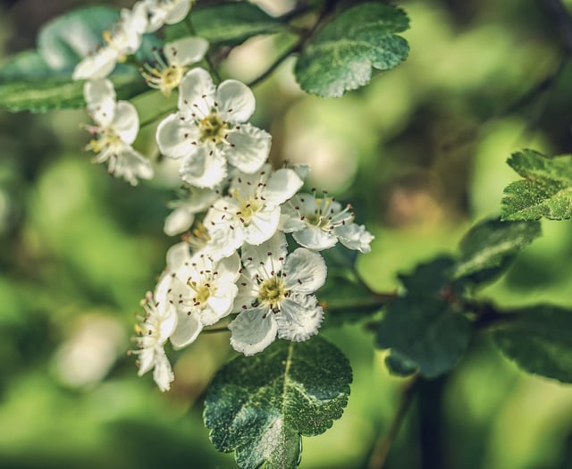 Farmers ‘can’t be green if they are in the red’, says charity