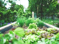 New support for community gardens in Powys