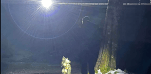 Rescue Team called out to false alarm after reports of cries for help