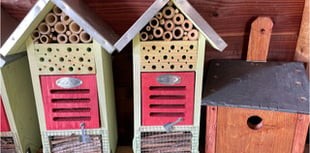 Free wildlife-friendly supplies for Brecon plot-holders