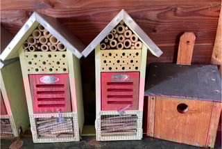 Pollinator hotels