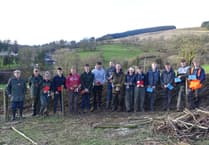 Chris comes out on top at Brecknock YFC hedging match