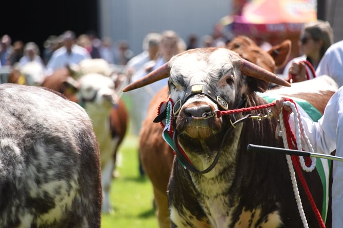 The Royal Welsh Smallholding & Countryside Festival