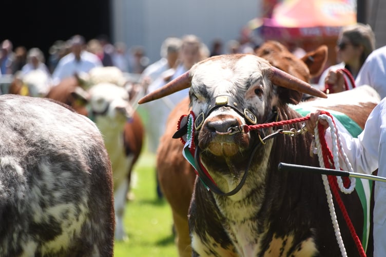The Royal Welsh Smallholding & Countryside Festival