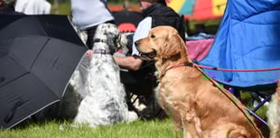 Entries now open for the Smallholding & Countryside Festival 