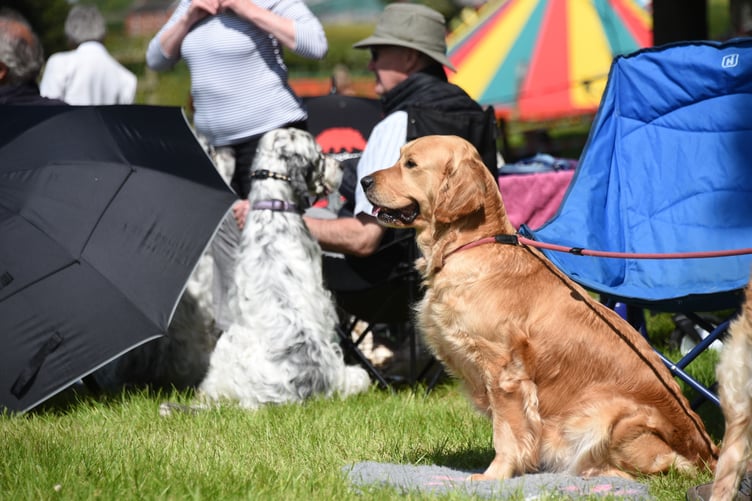 The Royal Welsh Smallholding & Countryside Festival