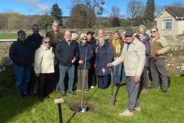Tretower resident plants tree for the King