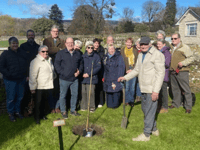 Tretower resident plants tree for the King