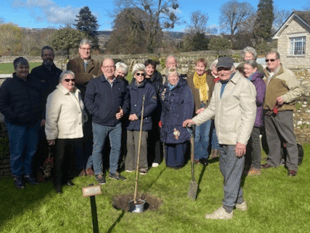 Tretower resident plants tree for the King