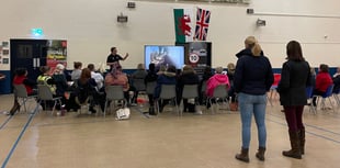 Safety team sheds light on equine road safety