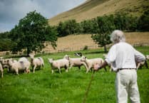 Powys councillors back move to lobby against Sustainable Farming Scheme