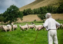 Powys backs move to lobby against Sustainable Farming Scheme