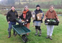 Powys couple's organic farming dream blooms into success