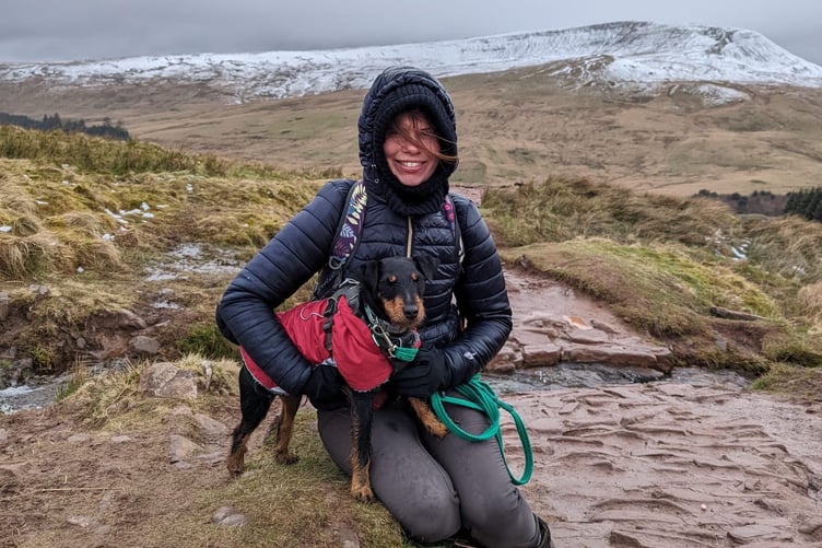 Five-year-old terrier Yoko