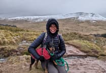 Terrier scales Pen y Fan to raise funds for rescue centre
