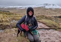 Terrier scales Pen y Fan to raise funds for rescue centre
