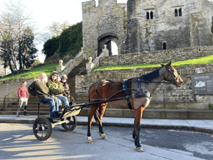 Hay-on-Wye horse owner launches unique delivery service