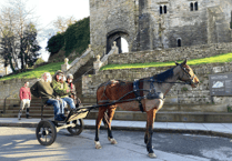 Hay-on-Wye horse owner launches unique delivery service