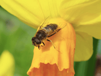 Video: Picture This - Yellow photographs!