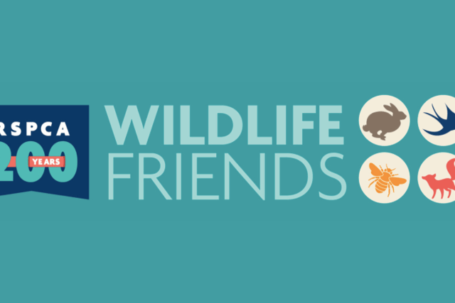 RSPCA relaunches family-friendly wildlife volunteering
